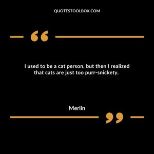 I used to be a cat person, but then I realized that cats are just too purr snickety.