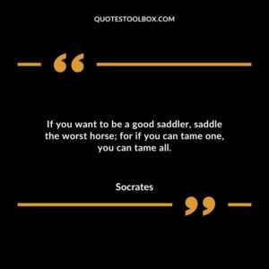 If you want to be a good saddler saddle the worst horse for if you can tame one you can tame all.