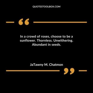 In a crowd of roses choose to be a sunflower. Thornless. Unwithering. Abundant in seeds.