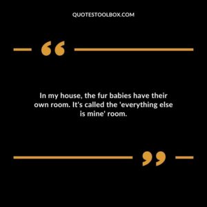 In my house the fur babies have their own room. Its called the everything else is mine room.