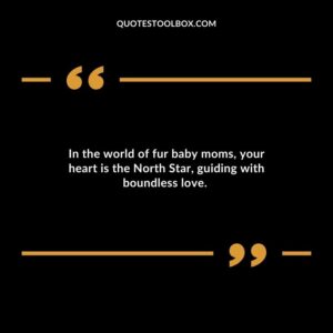 In the world of fur baby moms your heart is the North Star guiding with boundless love.