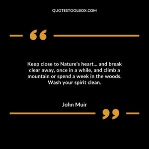 Keep close to Nature's heart... and break clear away, once in a while, and climb a mountain or spend a week in the woods. Wash your spirit clean.