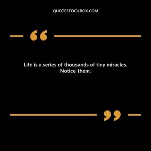 Life is a series of thousands of tiny miracles. Notice them.