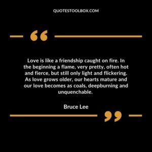 Love is like a friendship caught on fire. In the beginning a flame, very pretty, often hot and fierce, but still only light and flickering.