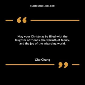 May your Christmas be filled with the laughter of friends, the warmth of family, and the joy of the wizarding world.