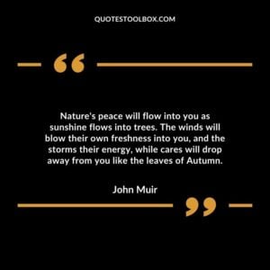 Nature's peace will flow into you as sunshine flows into trees. The winds will blow their own freshness into you, and the storms their energy