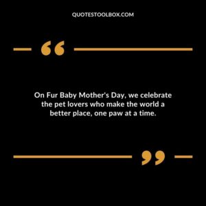 On Fur Baby Mothers Day we celebrate the pet lovers who make the world a better place one paw at a time.