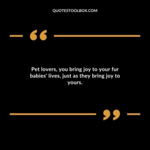Pet lovers you bring joy to your fur babies lives just as they bring joy to yours.