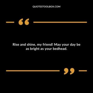 Rise and shine, my friend! May your day be as bright as your bedhead.