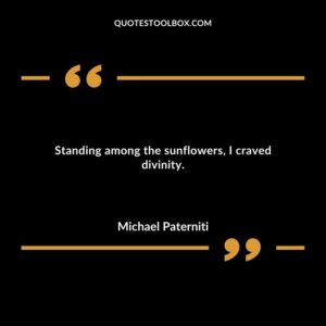 Standing among the sunflowers I craved divinity.