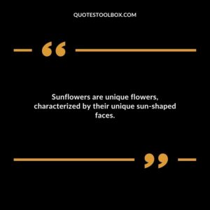 Sunflowers are unique flowers characterized by their unique sun shaped faces.