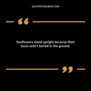 Sunflowers stand upright because their faces arent buried in the ground.