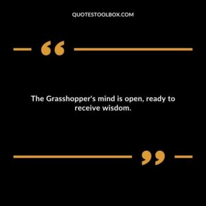 The Grasshopper's mind is open, ready to receive wisdom.