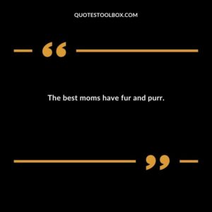 The best moms have fur and purr.