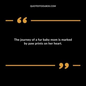 The journey of a fur baby mom is marked by paw prints on her heart.