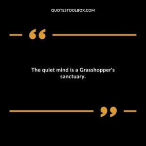 The quiet mind is a Grasshopper's sanctuary.