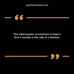 The rollercoaster of emotions in babys first 9 months is the ride of a lifetime.