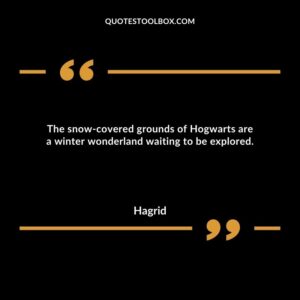 The snow covered grounds of Hogwarts are a winter wonderland waiting to be explored.