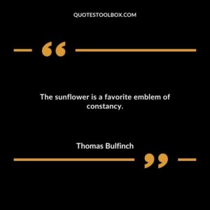The sunflower is a favorite emblem of constancy.