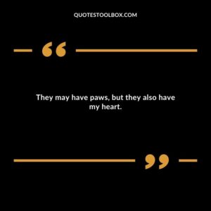 They may have paws but they also have my heart.
