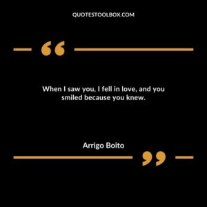 When I saw you, I fell in love, and you smiled because you knew.