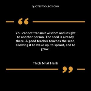 You cannot transmit wisdom and insight to another person. The seed is already there. A good teacher touches the seed allowing it to wake up to sprout and to grow.