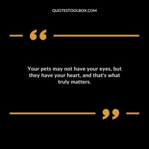 Your pets may not have your eyes but they have your heart and thats what truly matters.