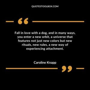 Fall in love with a dog and in many ways you enter a new orbit a universe that features not just new colors but new rituals new rules a new way of experiencing attachment.