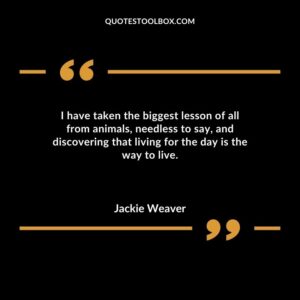 I have taken the biggest lesson of all from animals needless to say and discovering that living for the day is the way to live.