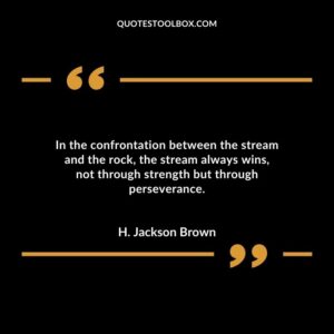 In the confrontation between the stream and the rock the stream always wins not through strength but through perseverance.