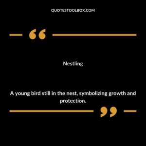Nestling A young bird still in the nest symbolizing growth and protection.