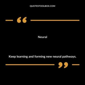Neural Keep learning and forming new neural pathways.