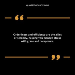 Orderliness and efficiency are the allies of serenity helping you manage stress with grace and composure.