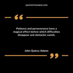 Patience and perseverance have a magical effect before which difficulties disappear and obstacles vanish.
