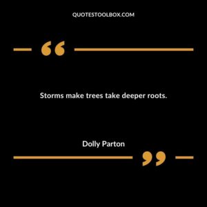 Storms make trees take deeper roots.