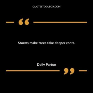 Storms make trees take deeper roots.