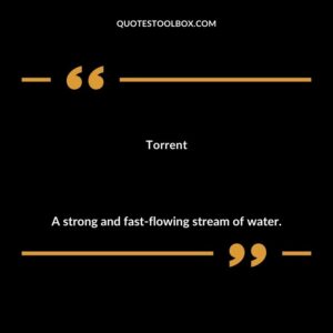 Torrent A strong and fast flowing stream of water.