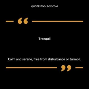 Tranquil Calm and serene free from disturbance or turmoil.