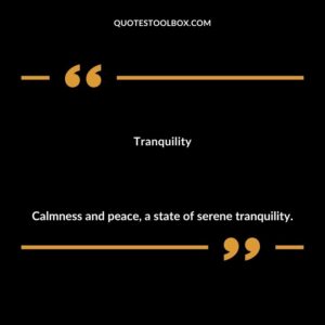 Tranquility Calmness and peace a state of serene tranquility.