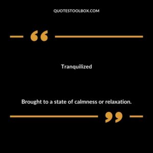 Tranquilized Brought to a state of calmness or relaxation.