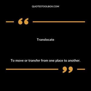Translocate To move or transfer from one place to another.