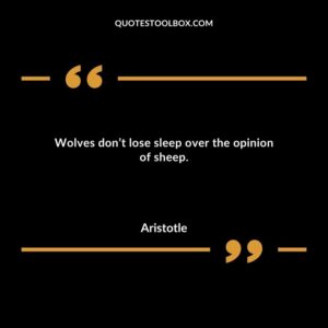 Wolves dont lose sleep over the opinion of sheep.