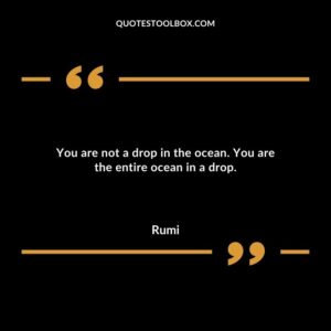 You are not a drop in the ocean. You are the entire ocean in a drop.