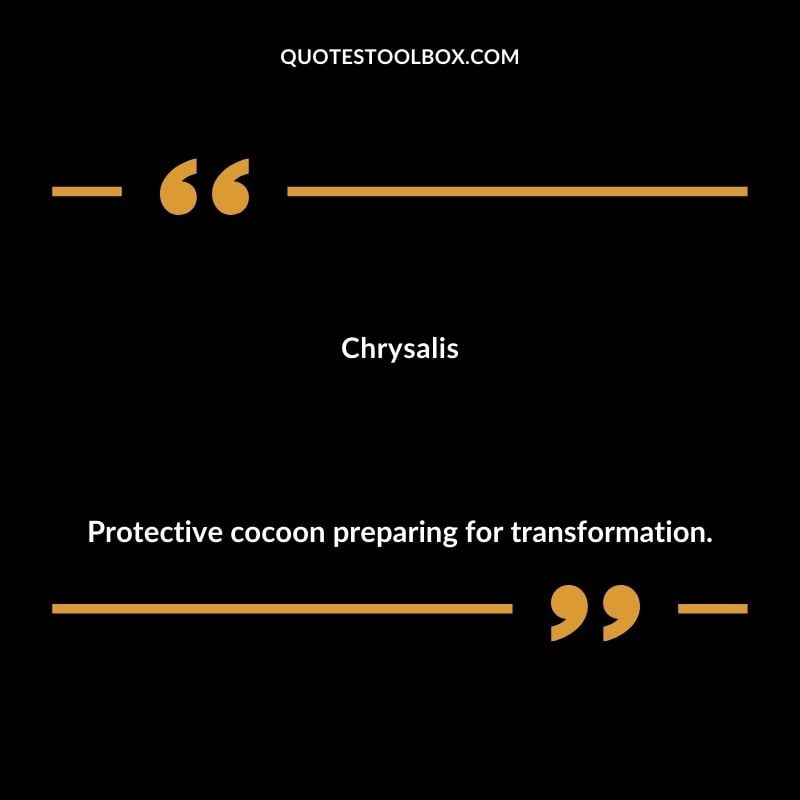 Chrysalis Protective cocoon preparing for transformation.