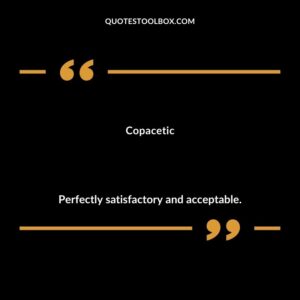 Copacetic Perfectly satisfactory and acceptable.