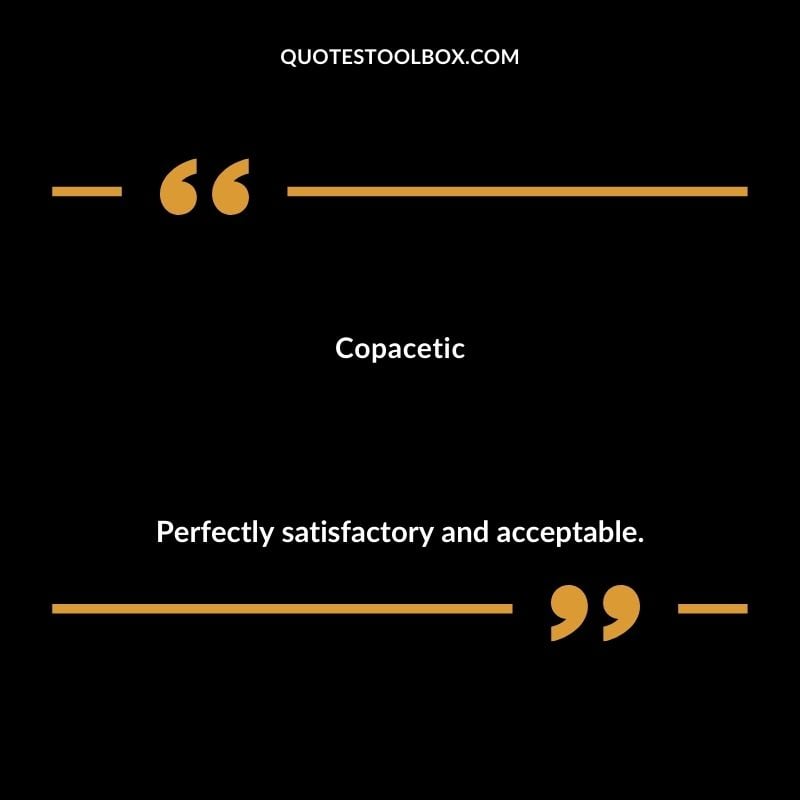 Copacetic Perfectly satisfactory and acceptable.