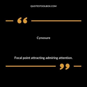 Cynosure Focal point attracting admiring attention.