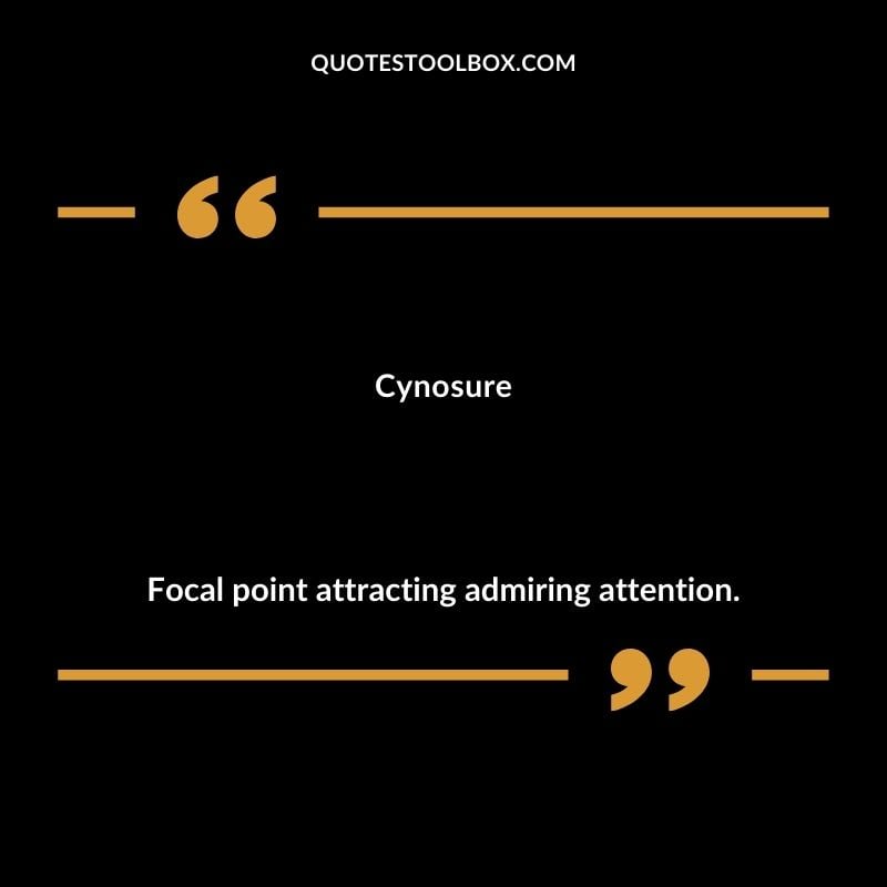 Cynosure Focal point attracting admiring attention.