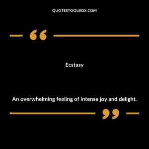 Ecstasy An overwhelming feeling of intense joy and delight.