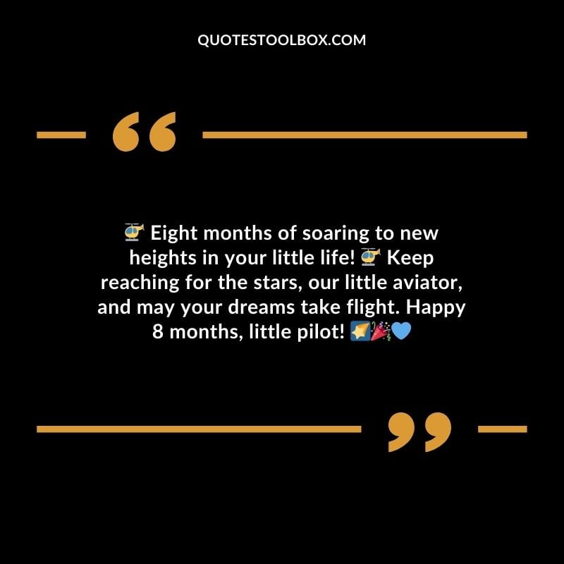Eight months of soaring to new heights in your little life! Keep reaching for the stars our little aviator and may your dreams take flight. Happy 8 months little pilot!